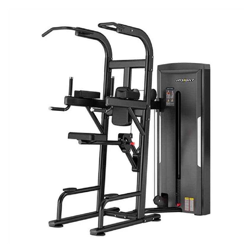 Insight SA008D Easy Chin/Dip